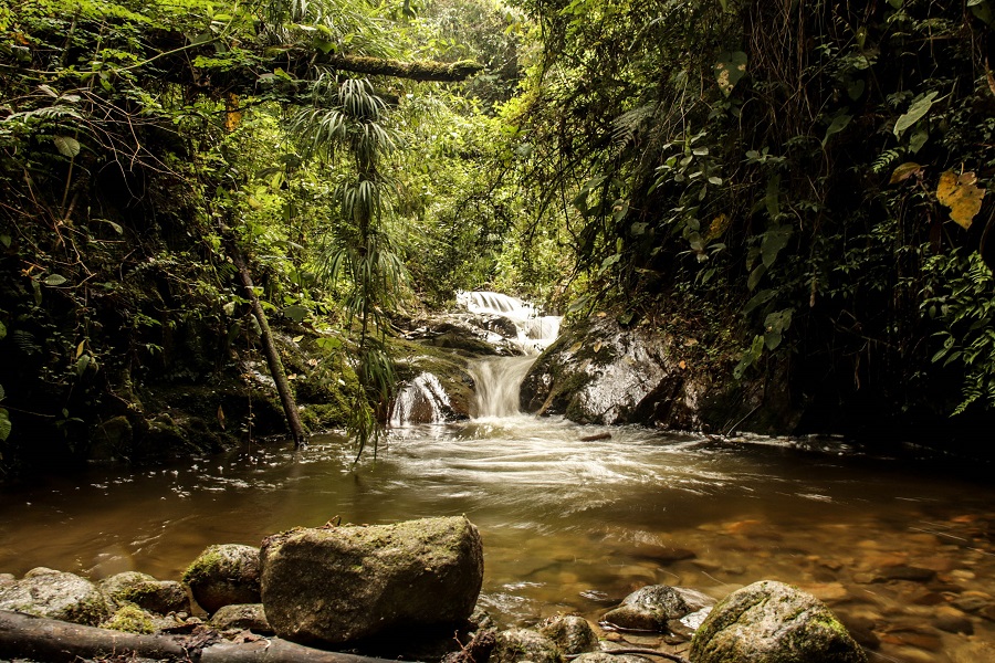 Recorrido Ecológico Avanzado
