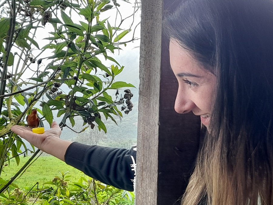 Taller de Reforestación Comunitaria