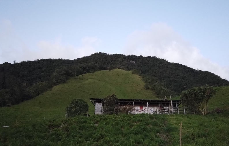 Interior de la cabaña