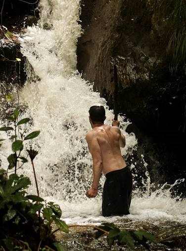 Paisaje de la Selva Alta